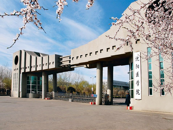 力锐斯UPS和蓄电池 - 沈阳医学院UPS项目